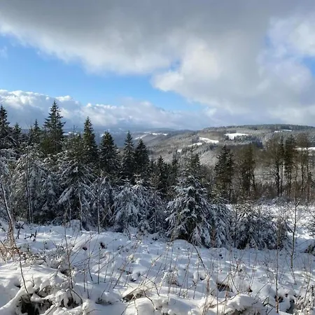 Modern Group Of Homes Close To Willingen And Winterberg With Large Garden Holiday home *