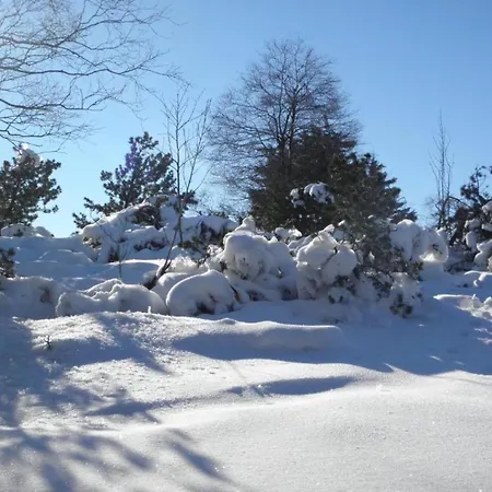 Modern Group Of Homes Close To Willingen And Winterberg With Large Garden Casa vacanze